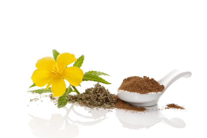 Damiana, maca, tribulus : les plantes de la vitalité dans la tradition
